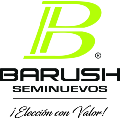 BARUSH SEMINUEVOS S.A. DE C.V.