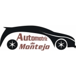 AUTOMOTRIZ DE MONTEJO, S.A. DE C.V.